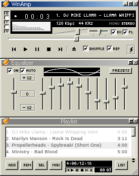 Window Amp skin