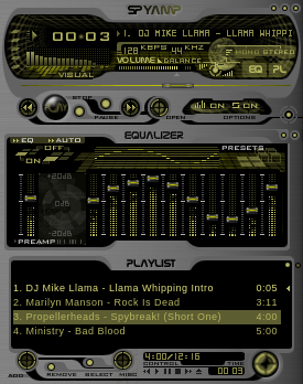 SpyAMP Professional Edition