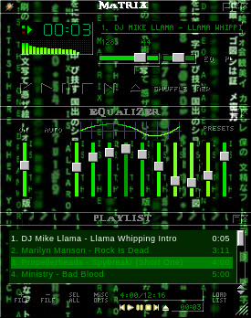 Matrix Reloaded Code Skin