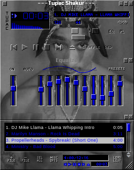 This skin was created by Mad Joe in June of 2002.