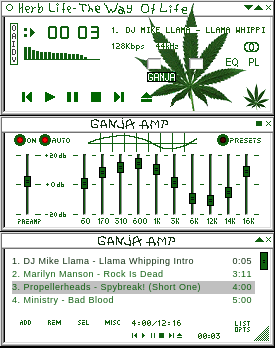 Ganja Amp[1]