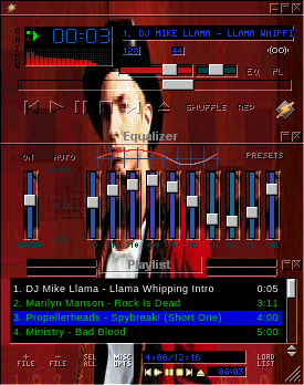 New Rolling Stone Eminem Amp Skin