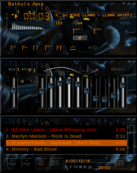 Baldurs Gate Skin