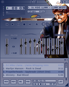 This skin is based on an image of Cid, by Nomura Tetsuya.