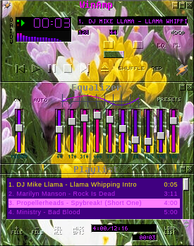 Flwrs From Levil 20